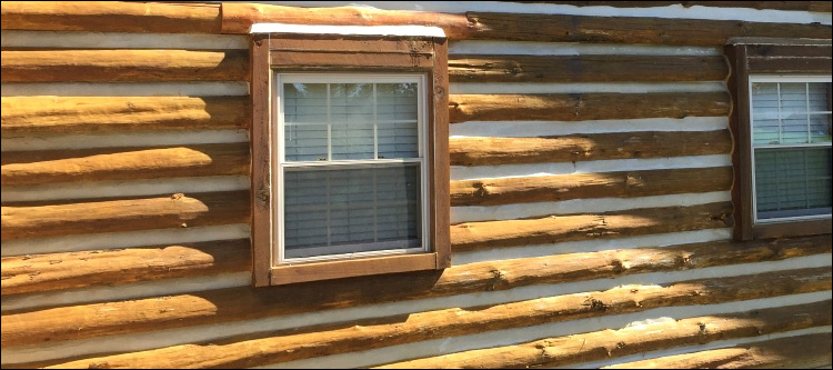 Log Home Whole Log Replacement  Pickens County, Georgia
