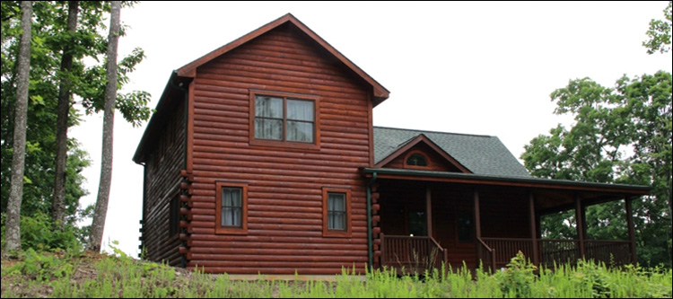 Professional Log Home Borate Application  Pickens County, Georgia